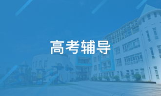 天津桃源教育咨询（淘学培训）探析 服务、特色与学员反馈